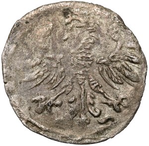 Sigismund II Augustus, Vilnius denarius 1546 - very rare