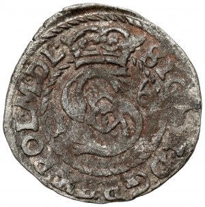 Sigismond III Vasa, Wschowa 1600 - F sous l'aigle