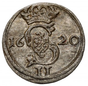 Sigismund III Vasa, Dwudenar Vilnius 1620