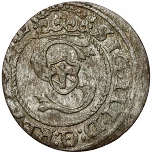 Sigismond III Vasa, Riga 1595