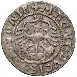 Zygmunt I Stary, Półgrosz Wilno 1524 - odwrócona 4