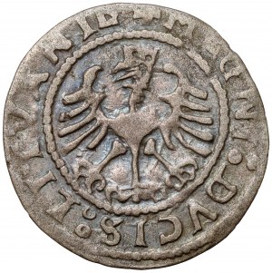 Sigismondo I il Vecchio, mezzo penny di Vilnius 1528 - MONEA - raro