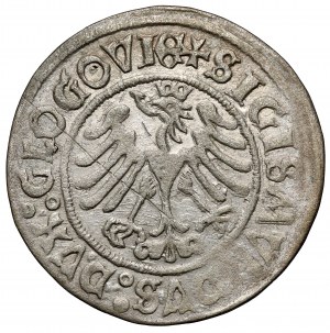 Sigismondo I il Vecchio, penny di Głogów 1506 - datato