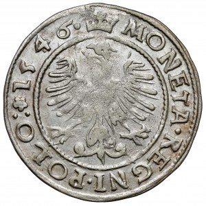 Sigismund I the Old, Cracow penny 1546 ST - rosettes - WITHOUT filling