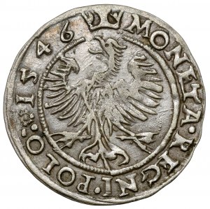 Sigismund I the Old, Penny Cracow 1546 ST - S/T