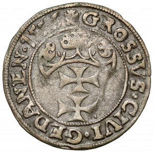 Sigismund II Augustus, Gdansk penny 1556 - PRVS - rare