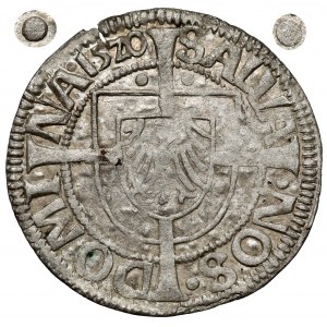 Prusy, Albrecht Hohenzollern, Grosz Królewiec 1520