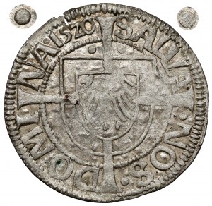 Teutonic Order, Albrecht Hohenzollern, Grosz Königsberg 1520 - Tippelgroschen