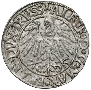 Prusse, Albrecht Hohenzollern, Grosz Königsberg 1545 - belle