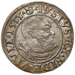 Prusy, Albrecht Hohenzollern, Grosz Królewiec 1535