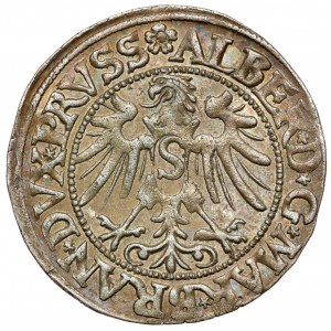 Prusy, Albrecht Hohenzollern, Grosz Królewiec 1535