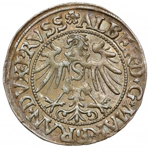 Prusse, Albrecht Hohenzollern, Grosz Königsberg 1535