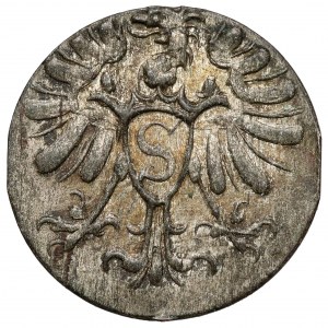 Prusko, Albrecht Friedrich, denár Königsberg 1571 - vzácne