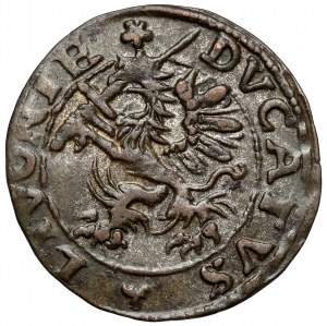Inflantáty, Dahlenova polica 1572