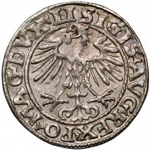 Žigmund II August, polgroš Vilnius 1553 - vzácny