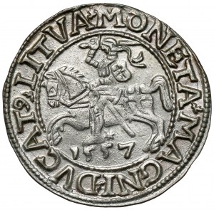 Sigismondo II Augusto, mezzo penny Vilnius 1557