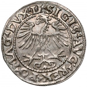 Sigismund II Augustus, Half-penny Vilnius 1552 - beautiful