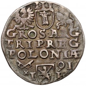 Sigismund III Vasa, Trojak Poznań 1591