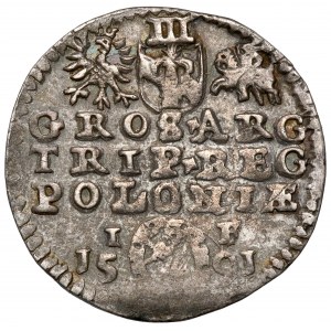 Zygmunt III Waza, Trojak Olkusz 1591 - ozdobna - rzadki