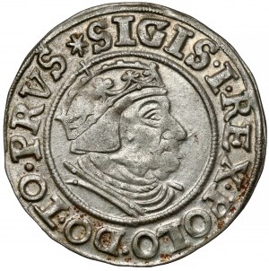 Sigismondo I il Vecchio, Grosz Gdańsk 1539