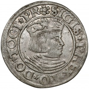 Sigismund I. der Alte, Grosz Gdańsk 1531