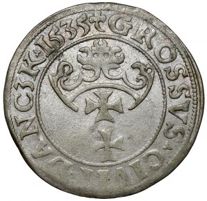 Sigismund I. der Alte, Grosz Gdansk 1535 - neue Büste