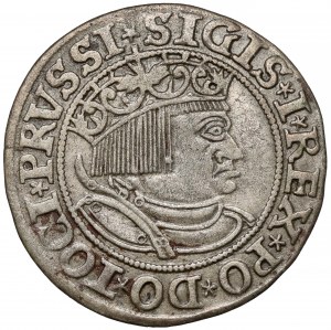 Zikmund I. Starý, Grosz Toruń 1532