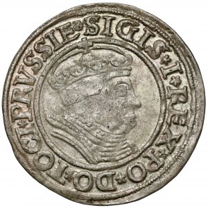 Sigismund I. der Alte, Grosz Toruń 1535