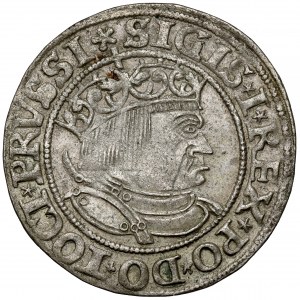 Sigismund I the Old, Torun 1533 penny - PRVSSI - rare