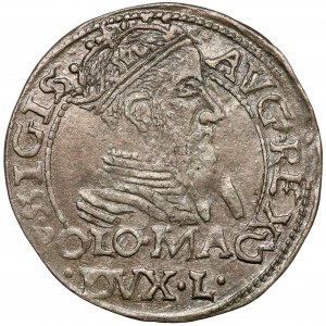 Sigismund II Augustus, Grosz per Polish foot 1567, Tykocin - rare