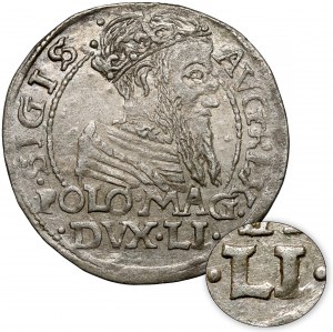 Sigismund II Augustus, Grosz per Polish foot 1566, Tykocin - B.RZADKI