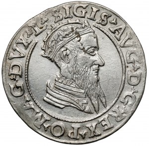 Zygmunt II August, Czworak Wilno 1569