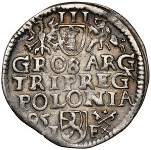 Sigismondo III Vasa, Trojak Wschowa 1595 - con griglia