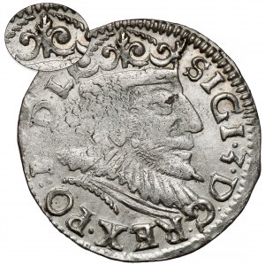 Sigismondo III Vasa, Trojak Poznań 1593 - un'altra corona