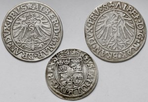 Prusko, Albert Hohenzollern, Grosz Königsberg 1533-1542 a Halfpenny 1622 - sada (3ks)