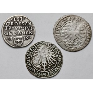 Zygmunt I Stary, Grosze 1528-1534 i Trojak 1539 - zestaw (3szt)