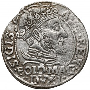 Sigismund II Augustus, Grosz per Polish foot 1548, Vilnius