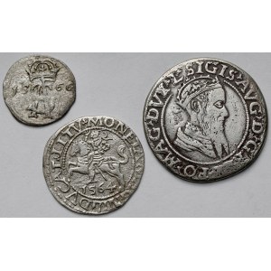 Zygmunt II August, Dwudenar, Półgrosz i Czworak 1564-1569 - zestaw (3szt)