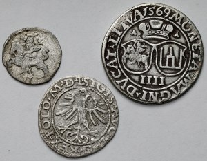 Sigismondo II Augusto, due penny, mezzo penny e quattro penny 1564-1569 - set (3 pezzi)