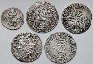 Zygmunt II August, Dwudenar, Półgrosze i Trojak 1549-1570 - zestaw (5szt)