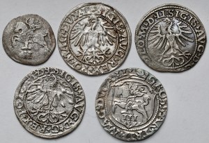 Zygmunt II August, Dwudenar, Półgrosze i Trojak 1549-1570 - zestaw (5szt)