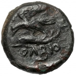 Grecja, Tracja, Olbia (400-320 p.n.e.) AE14