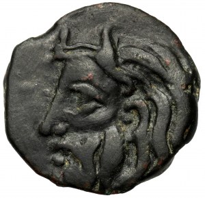Grécko, Olbia (300-275 pred n. l.) AE21