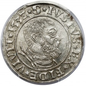 Prusko, Albrecht Hohenzollern, Grosz Königsberg 1532