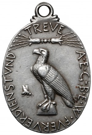 Allemagne, Médaille 1908 - Emil Rathenau