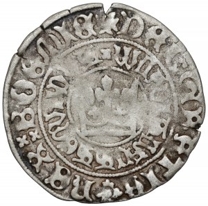 Boemia, Ladislao II Jagellone (1471-1516) penny di Praga