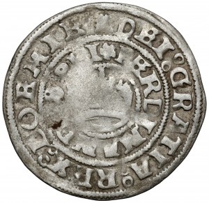 Čechy, Ferdinand I. Habsburský (1526-1564) Pražský groš 1542