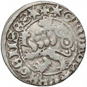 Boemia, Ladislao II Jagellone (1471-1516) penny di Praga