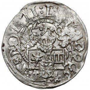 Schleswig-Holstein-Schauenburg, Adolf XIV, 1/24 talara 1599