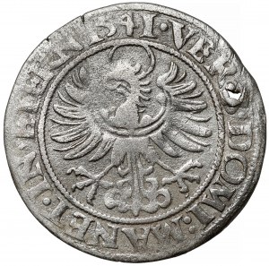 Schlesien, Friedrich II., Pfennig 1541, Legnica - seltenes Jahr